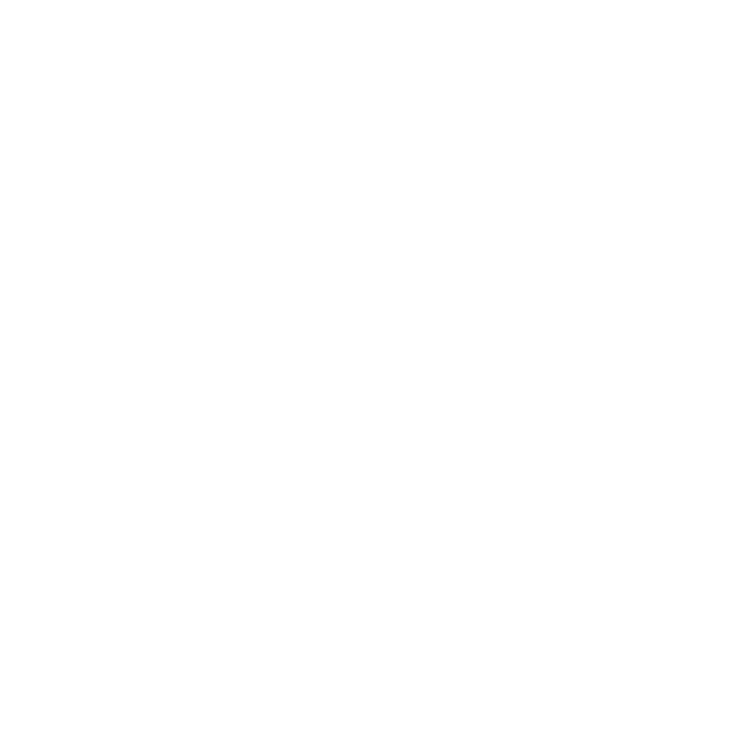 Hungry Work Horse Consultancy INC